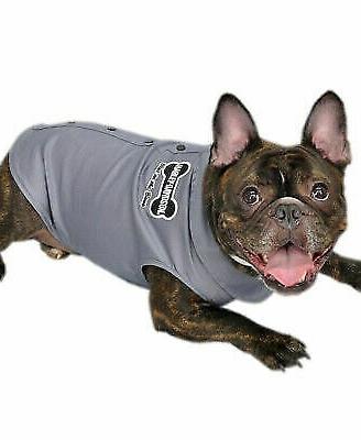 Magletta camicia cane harley davidson taglia picco