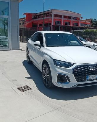 Audi Q5 SPB 40 TDI quattro S tronic line plus