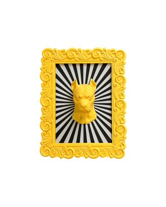 Pitbull - Cornice Barocca/Pop Art