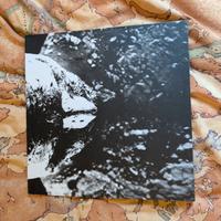 Vinile Magnificence - II