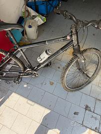 Mountain Bike Cannondale Vergo 2004