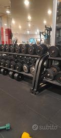 MANUBRI ARTIGIANALI PALESTRA, DUMBELLS GYM, PESI.