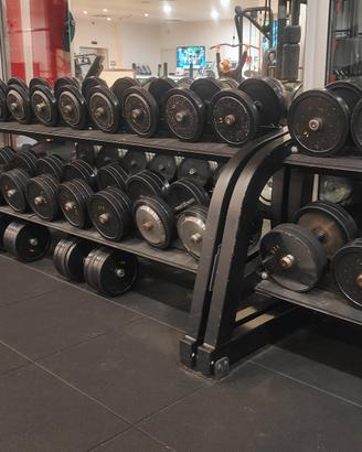 MANUBRI ARTIGIANALI PALESTRA, DUMBELLS GYM, PESI.