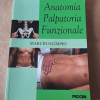 Anatomia palpatoria funzionale 