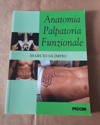 Anatomia palpatoria funzionale 