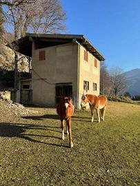 Palazzo / Stabile di 360 m² con più di 5 locali a 