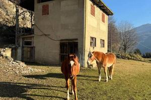 Palazzo / Stabile di 360 m² con più di 5 locali a 