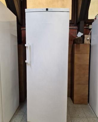 Congelatore verticale Liebherr 7 cassetti