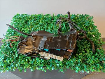 Centralina Body Toyota IQ