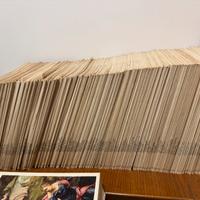 I maestri del colore