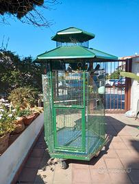 grande voliera e inseparabili