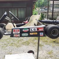 Go kart 100 Parilla Tg14 Kalicart
