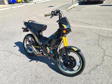 Fifty Top 1992 perfetto