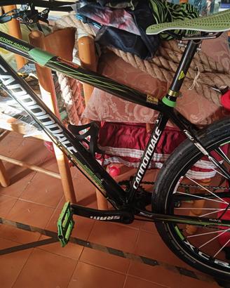 cannondale flash factory racing