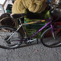 Mountain bike Ciampak