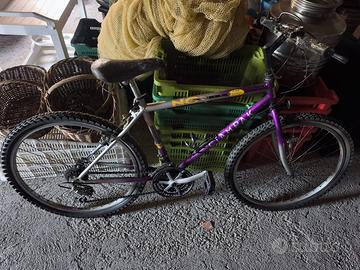 Mountain bike Ciampak