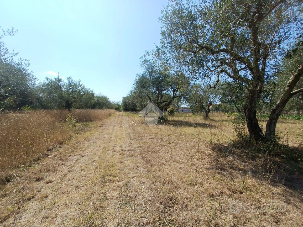 TER. AGRICOLO A CASTEL SANT'ELIA - Vista 4