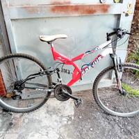 Bici uomo 28/30
