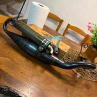 Marmitta yasuni r kev