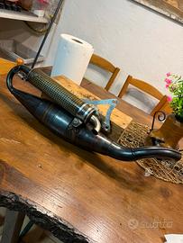 Marmitta yasuni r kev