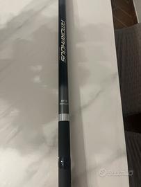 Bolognese Daiwa amorphous regular AI 7 metri