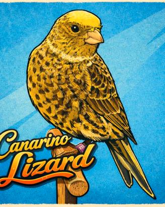 Canarino Lizard