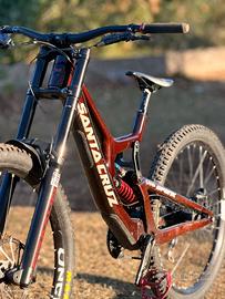 santa cruz v10 2022