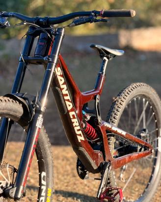 santa cruz v10 2022