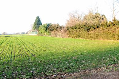 Terreno Residenziale Cuggiono [386VRG]