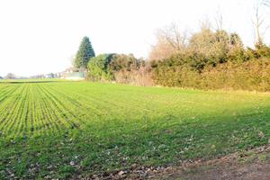 Terreno Residenziale Cuggiono [386VRG]