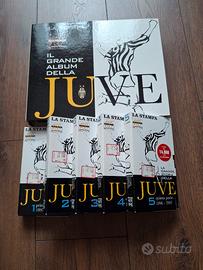 Raccolta per i 100 anni juve