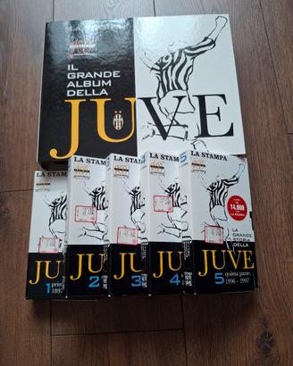 Raccolta per i 100 anni juve