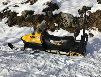 Motoslitta Ski-doo Skandic