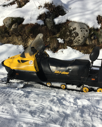 Motoslitta Ski-doo Skandic
