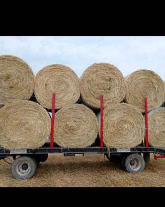 Rotoballe di fieno e erba medica