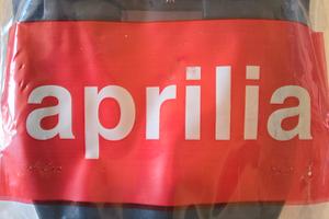 Aprilia RSV Tuono AP8168108

