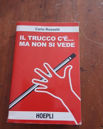il trucco c'e' ma non si vede ROSSETTI