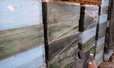 Apicoltura, melari Dadant-Blatt