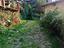 Immagine 29