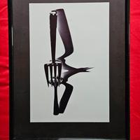 Quadro fotografie artistiche 