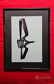 Quadro fotografie artistiche 