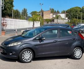 Ford Fiesta 1.4 TDCi 5p. Titanium 2009