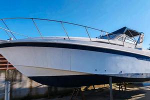 Barca Trojan International 29 Natante