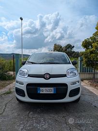 Fiat panda 2025 Uniproprietario