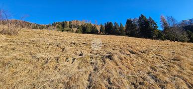 TER. RESIDENZIALE A BIENNO