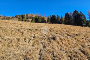 TER. RESIDENZIALE A BIENNO