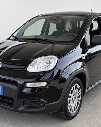 FIAT Pandina 1.0 FireFly 69 CV Hybrid Icon