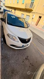 Lancia y elefantino del 2019