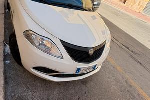 Lancia y elefantino del 2019