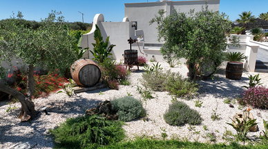 Vigneto Grillo disponibile dal 23 al 26 agosto